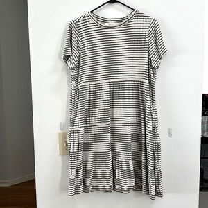 Loft Swing Dress